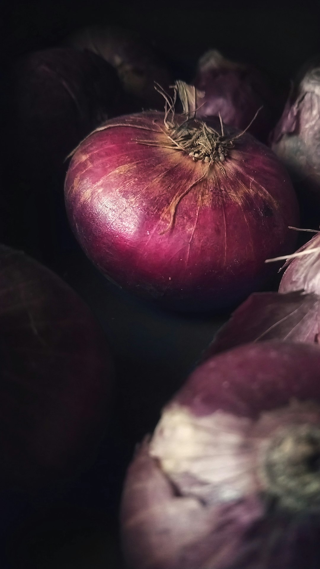 Onions Become Mushy and Develop Mold (image credits: unsplash)