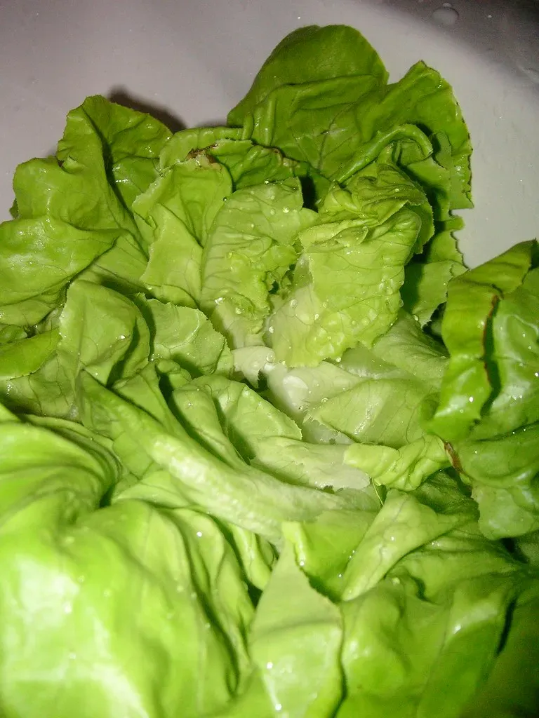 The Lettuce Is the Dirtiest Thing People Order (Image Credits: Flickr)