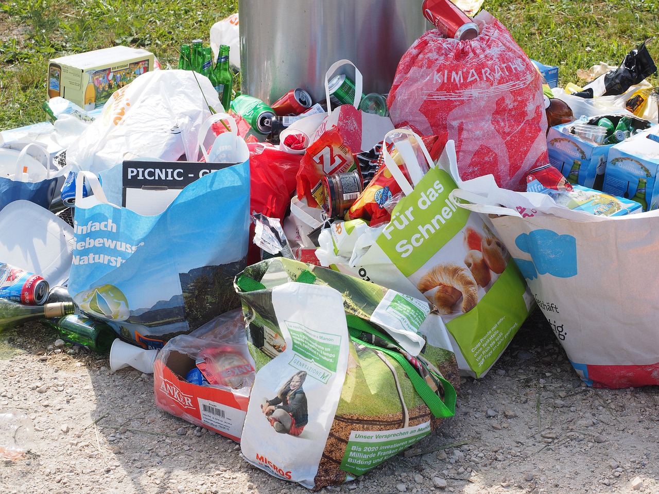 Dispose of Waste Properly (image credits: pixabay)