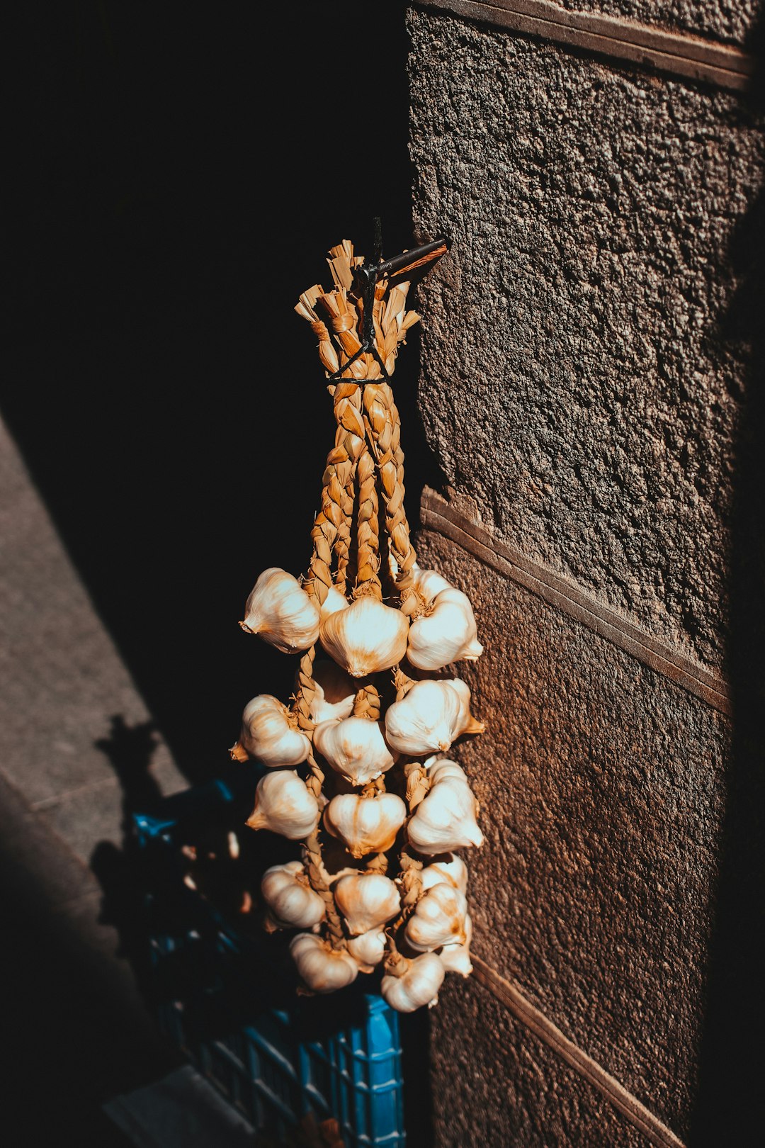 Garlic: The Pungent Healer (image credits: unsplash)