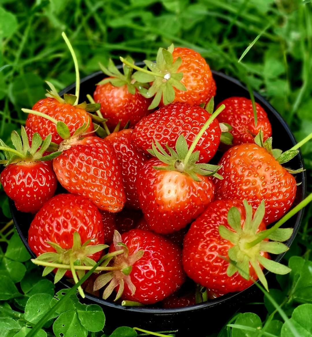 Strawberries - The Antioxidant Delight (image credits: unsplash)