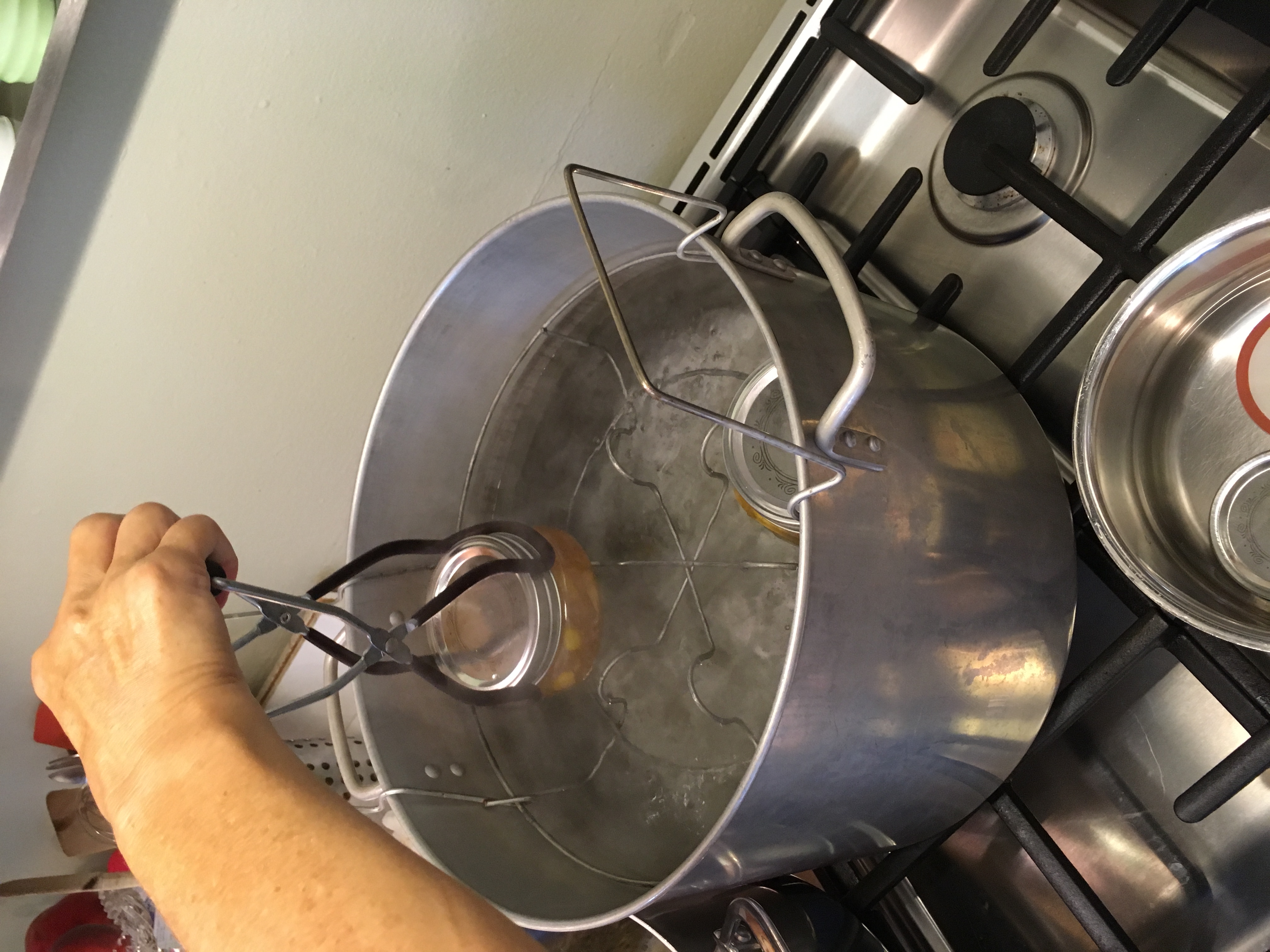 The Science Behind Safe Water Bath Canning Methods (image credits: wikimedia)