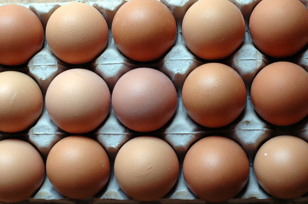 My Secret to Doubling the Protein Content (image credits: rawpixel)