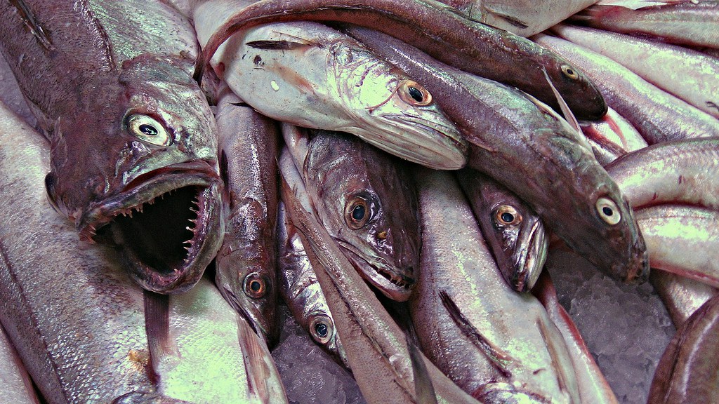 The Taste Test Reality (image credits: flickr)