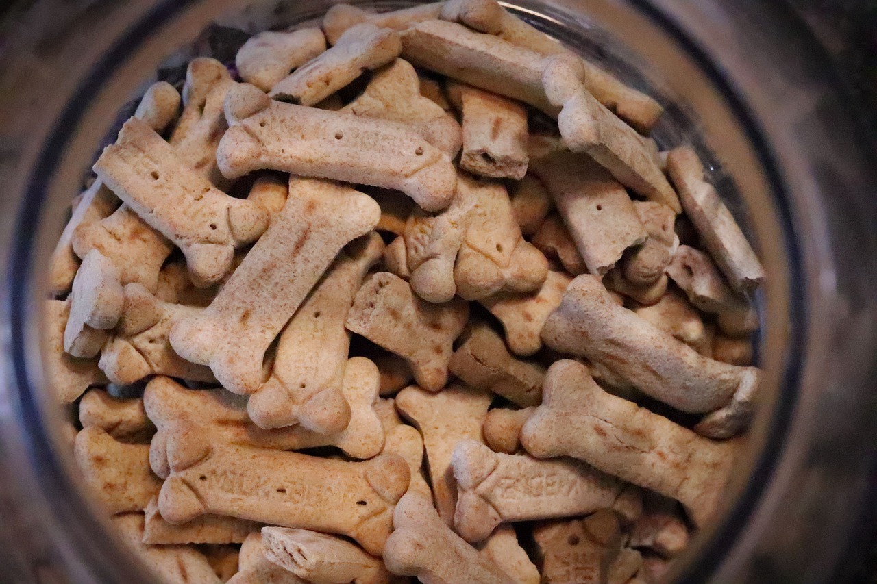 Cooked Bones (image credits: pixabay)