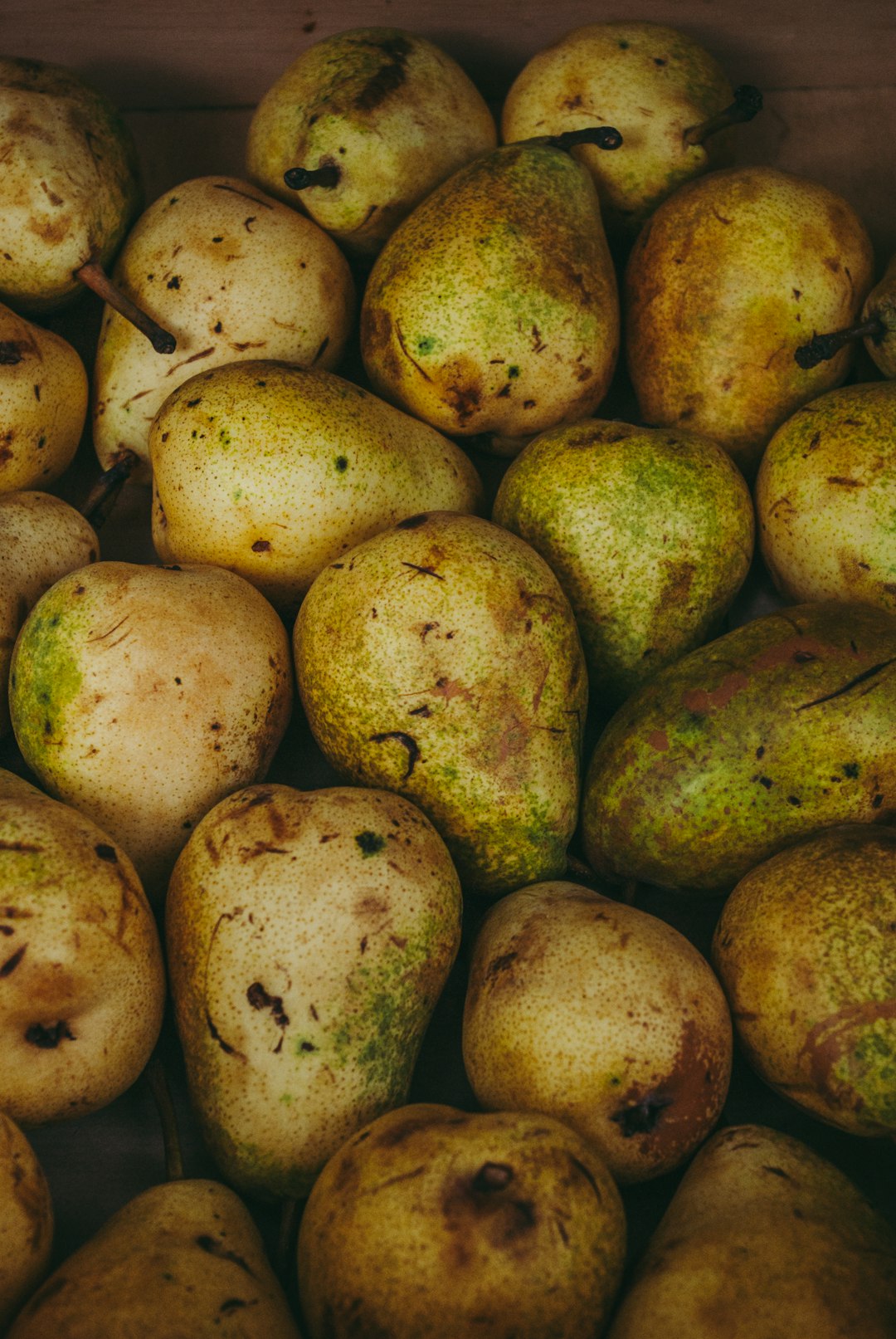 Green Potatoes Are Only Dangerous in the Green Parts (Image Credits: Unsplash)