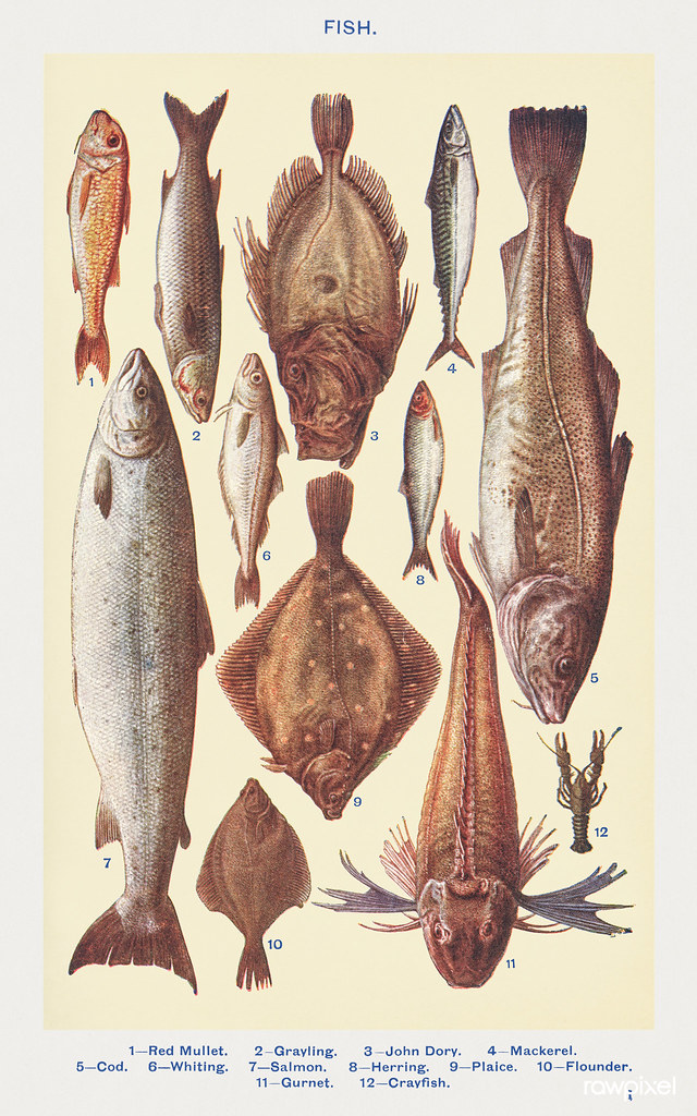 Cod and Flounder - Lean Options with Limited Omega-3s (image credits: flickr)