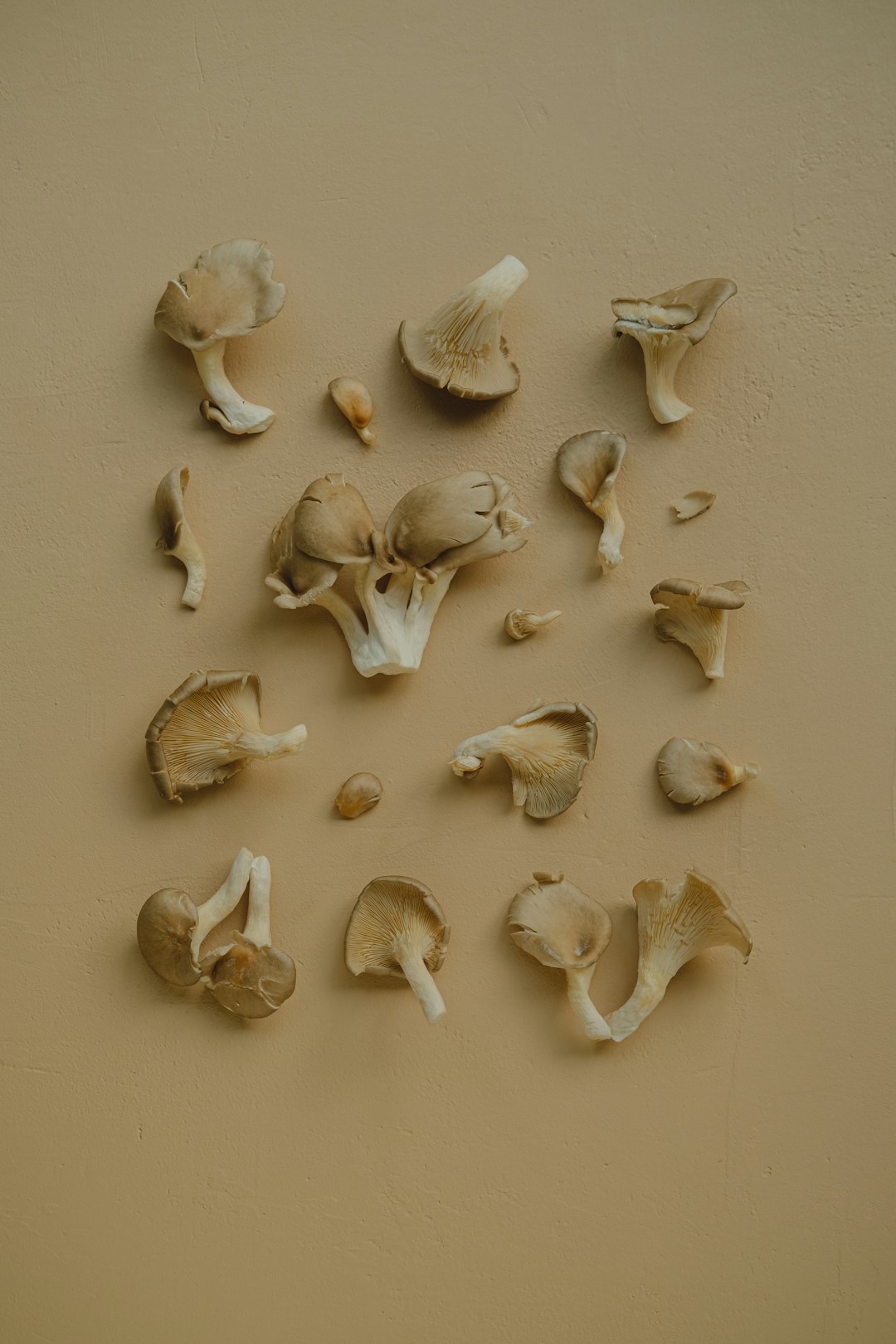 Mushrooms – The Fungi That Actually Deliver (image credits: unsplash)