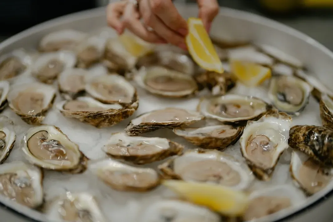2. Fresh Oysters: A Pure Test of Sourcing and Care (Image Credits: Unsplash)