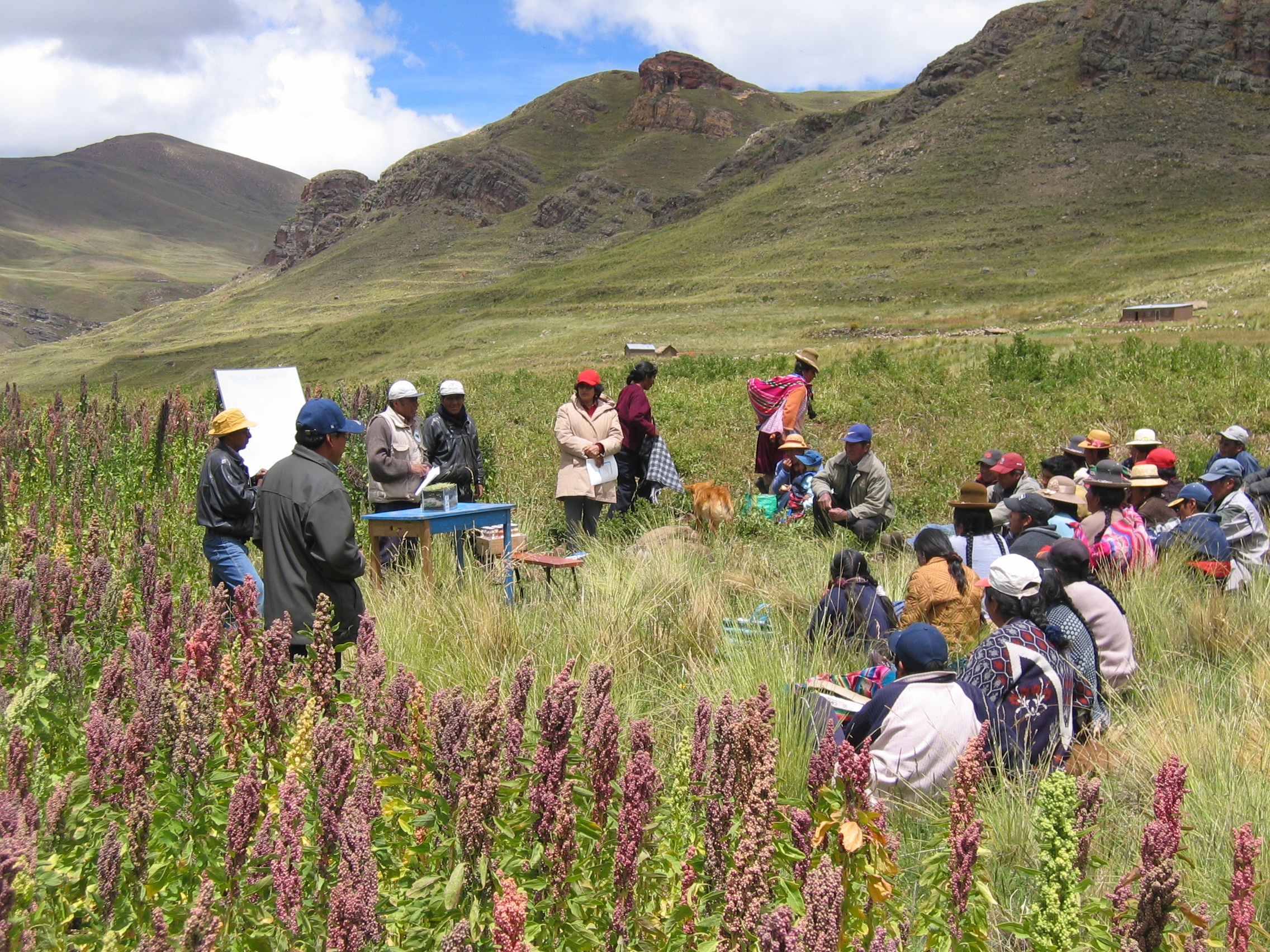 Voices from the Andes: What Local Communities Say (image credits: wikimedia)