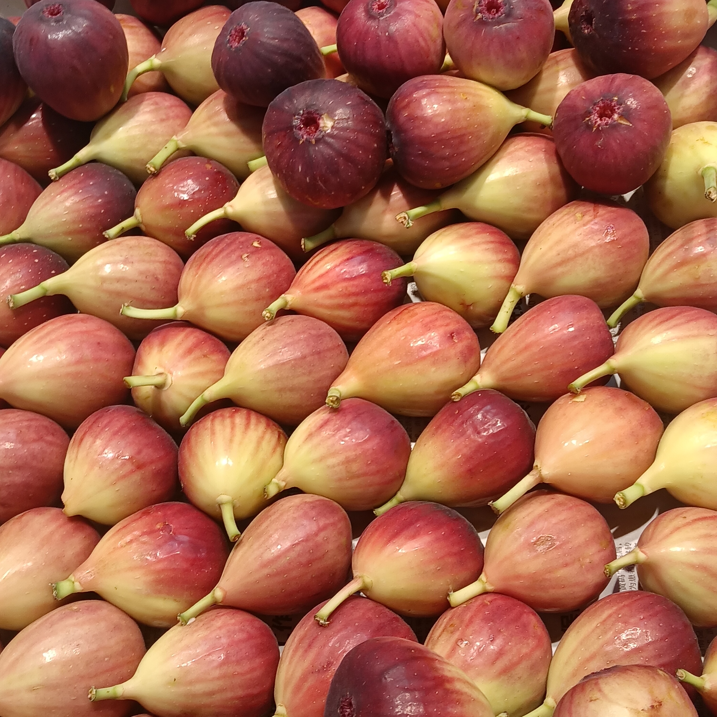 Figs (image credits: wikimedia)