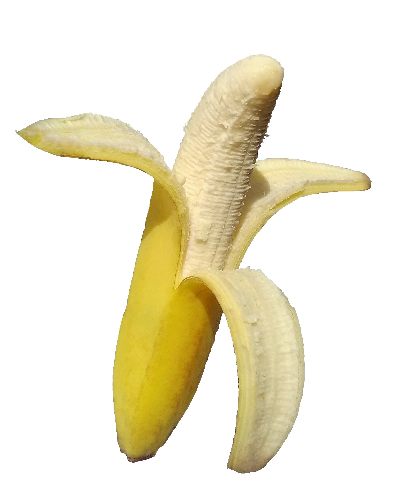 Bananas (image credits: wikimedia)