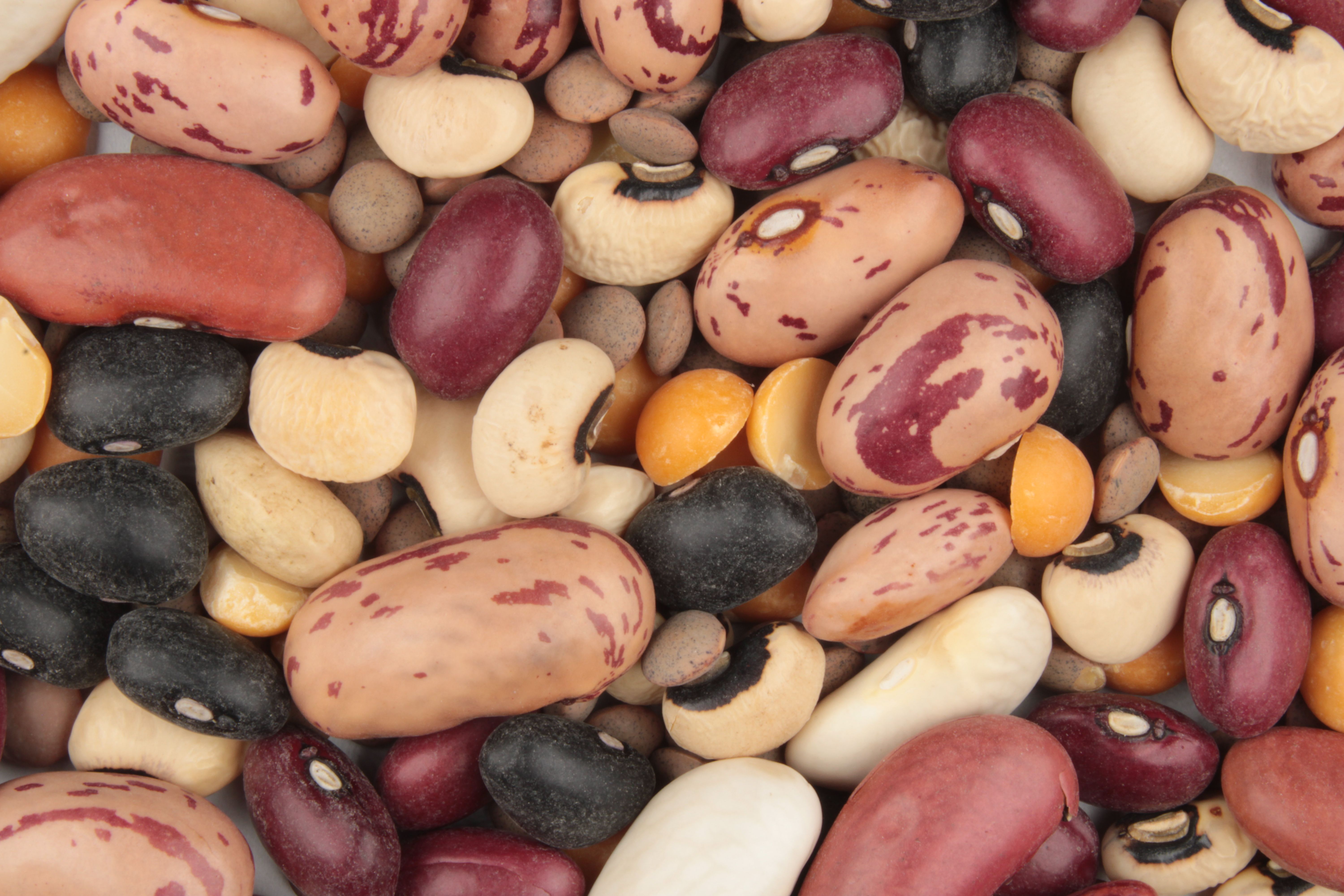The Nutritional Benefits of Legumes (image credits: wikimedia)