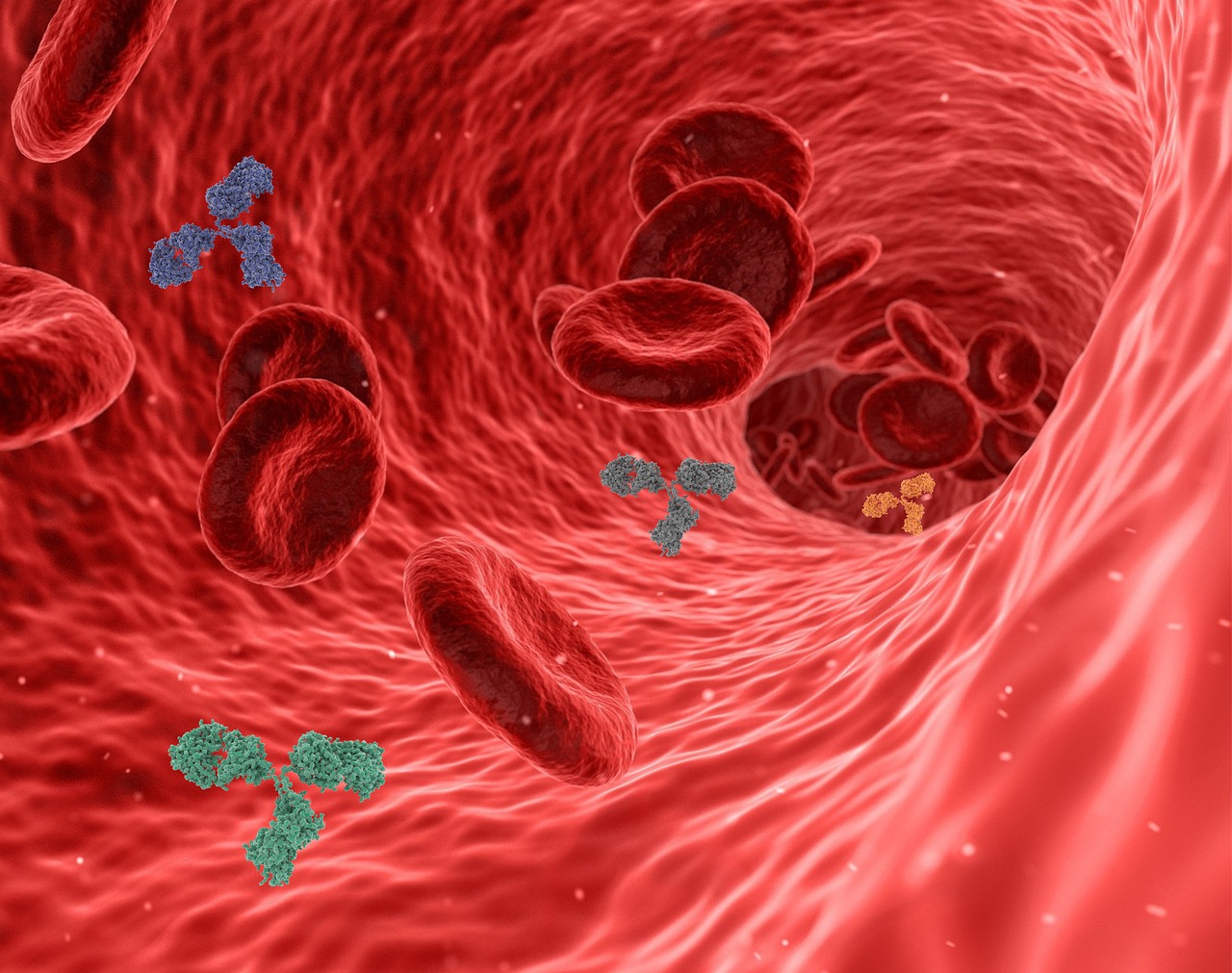 Impact on Gut Inflammation (image credits: pixabay)