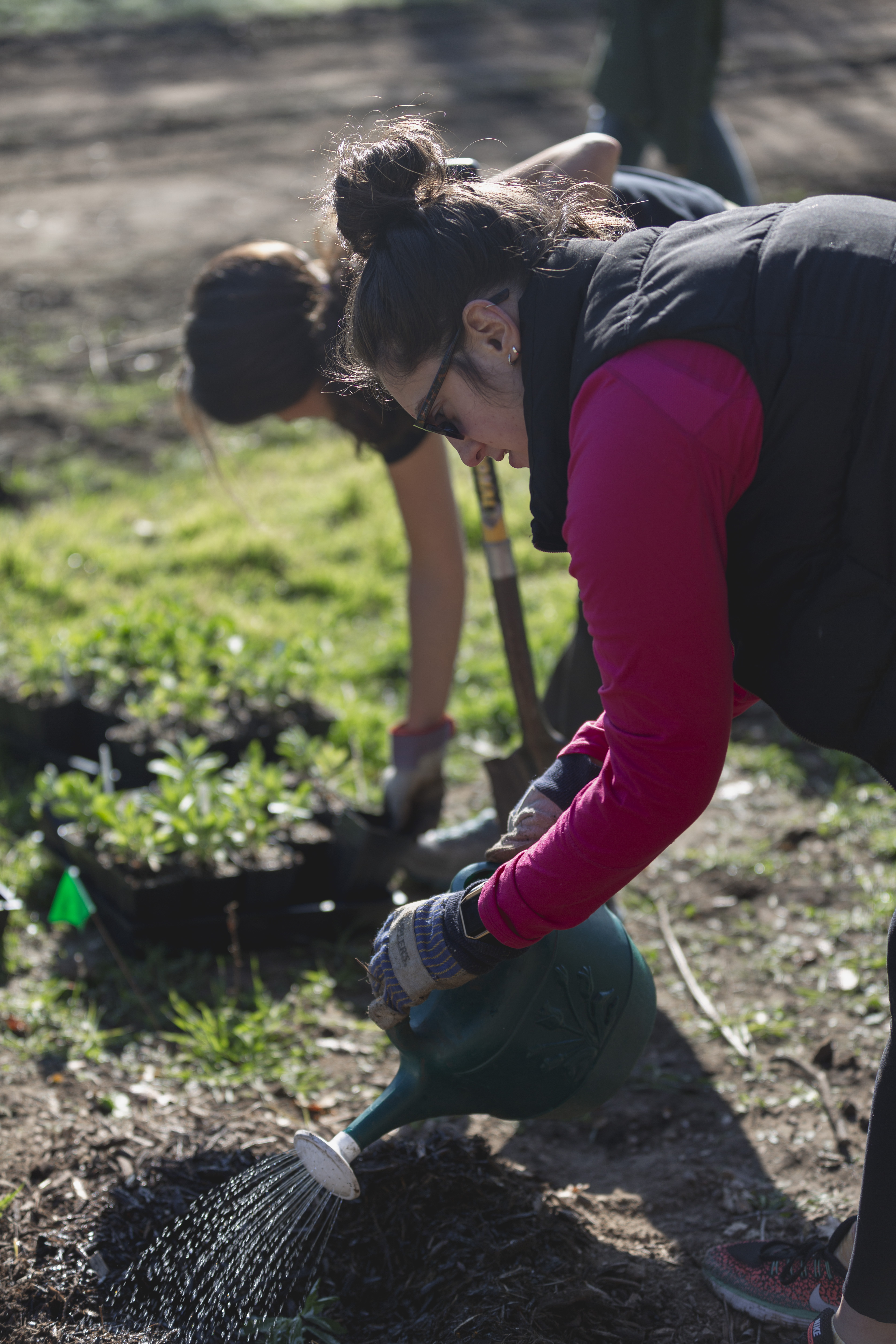 Educational Initiatives (image credits: wikimedia)