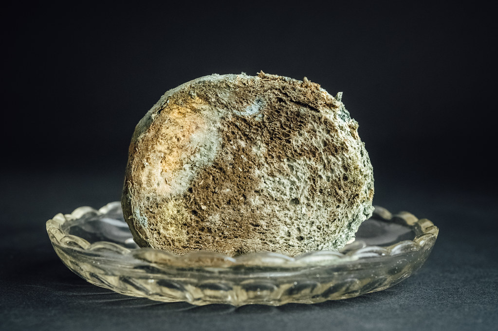 Packaged Bread Products: The Mold Magnet You Can't Always See (image credits: flickr)