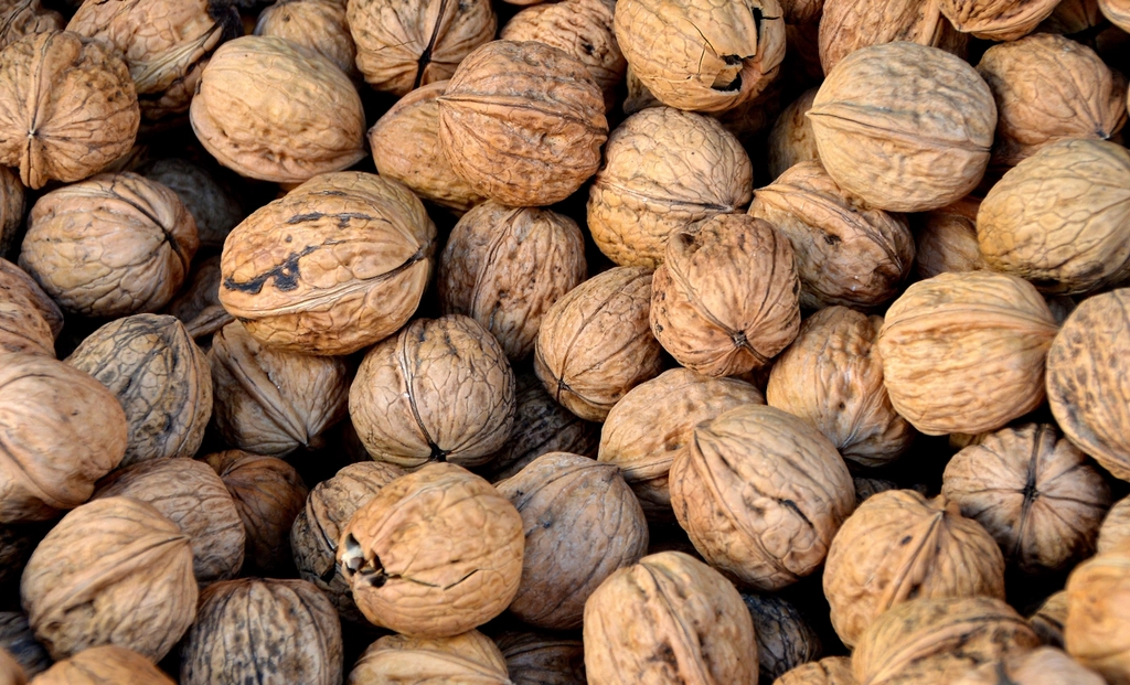 6. Walnuts (image credits: rawpixel)