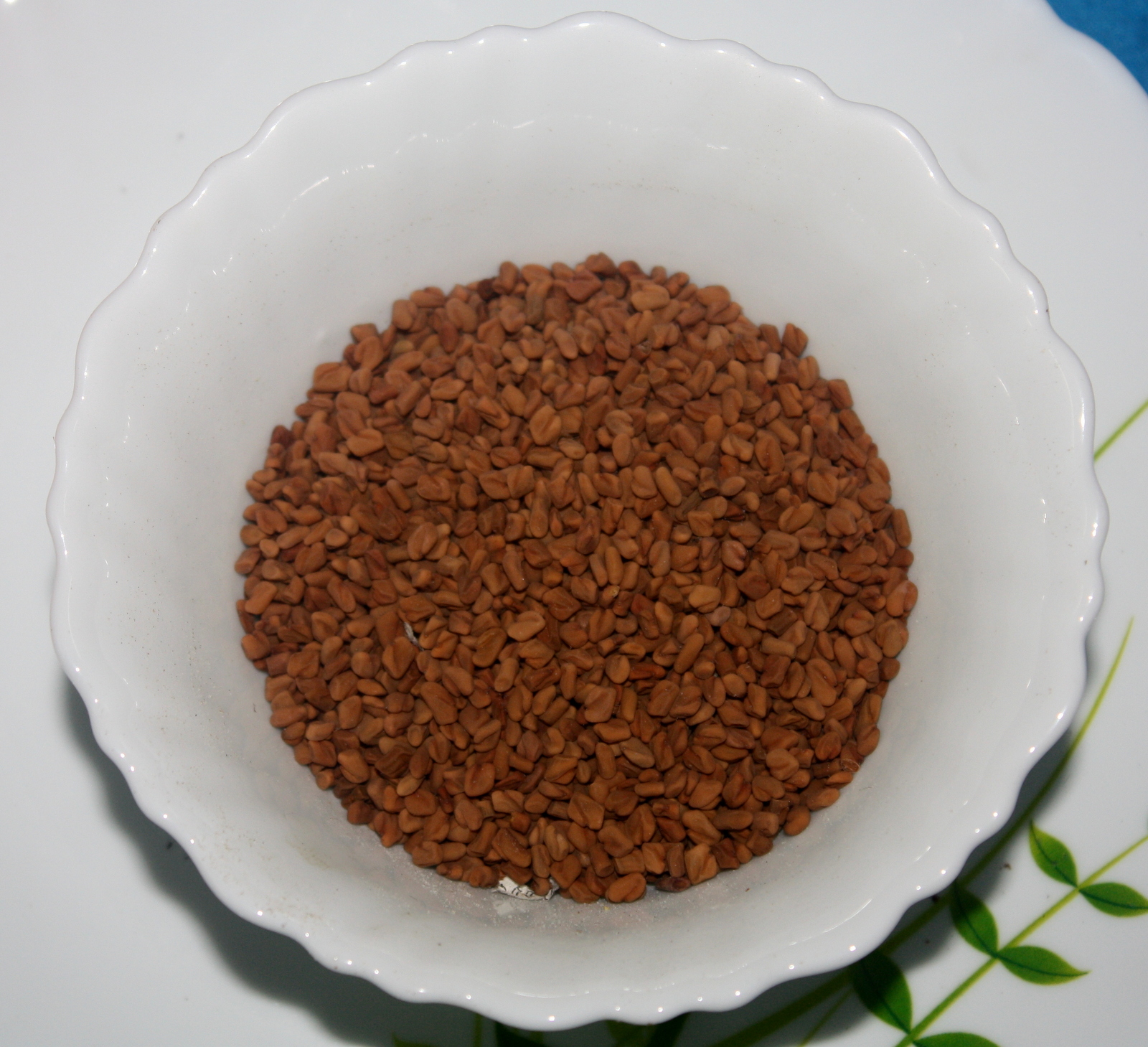 Fenugreek - The Maple Mystery (image credits: wikimedia)