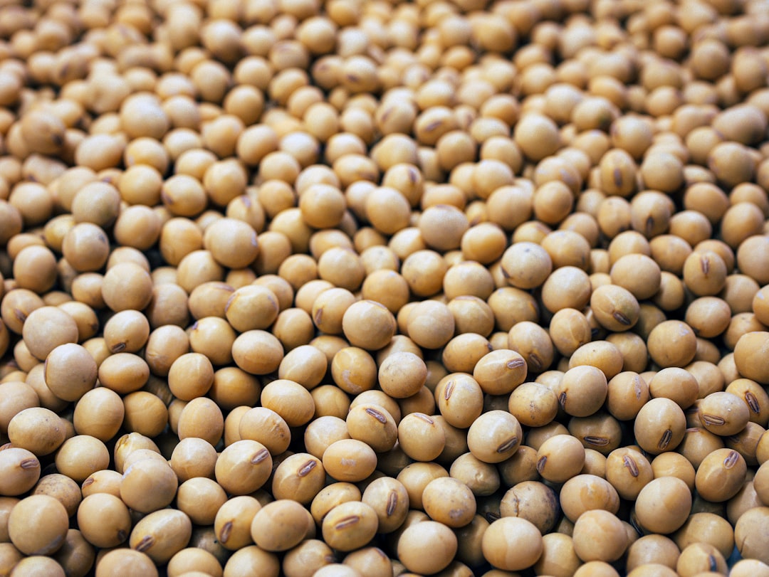 Soybeans: The Protein Champions (image credits: unsplash)