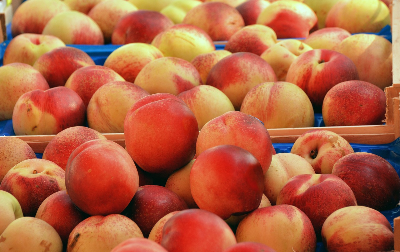 Peaches 🍑 (Stone Fruit Perk) (image credits: pixabay)