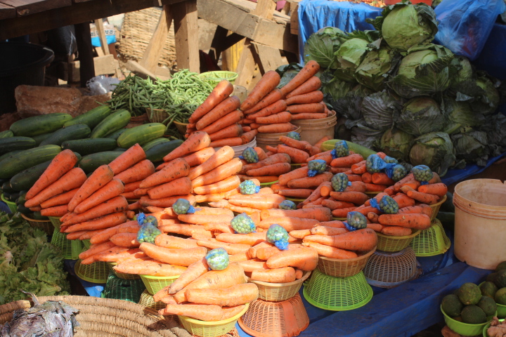 Myth 8: Fresh Vegetables Are Always Healthier (image credits: wikimedia)