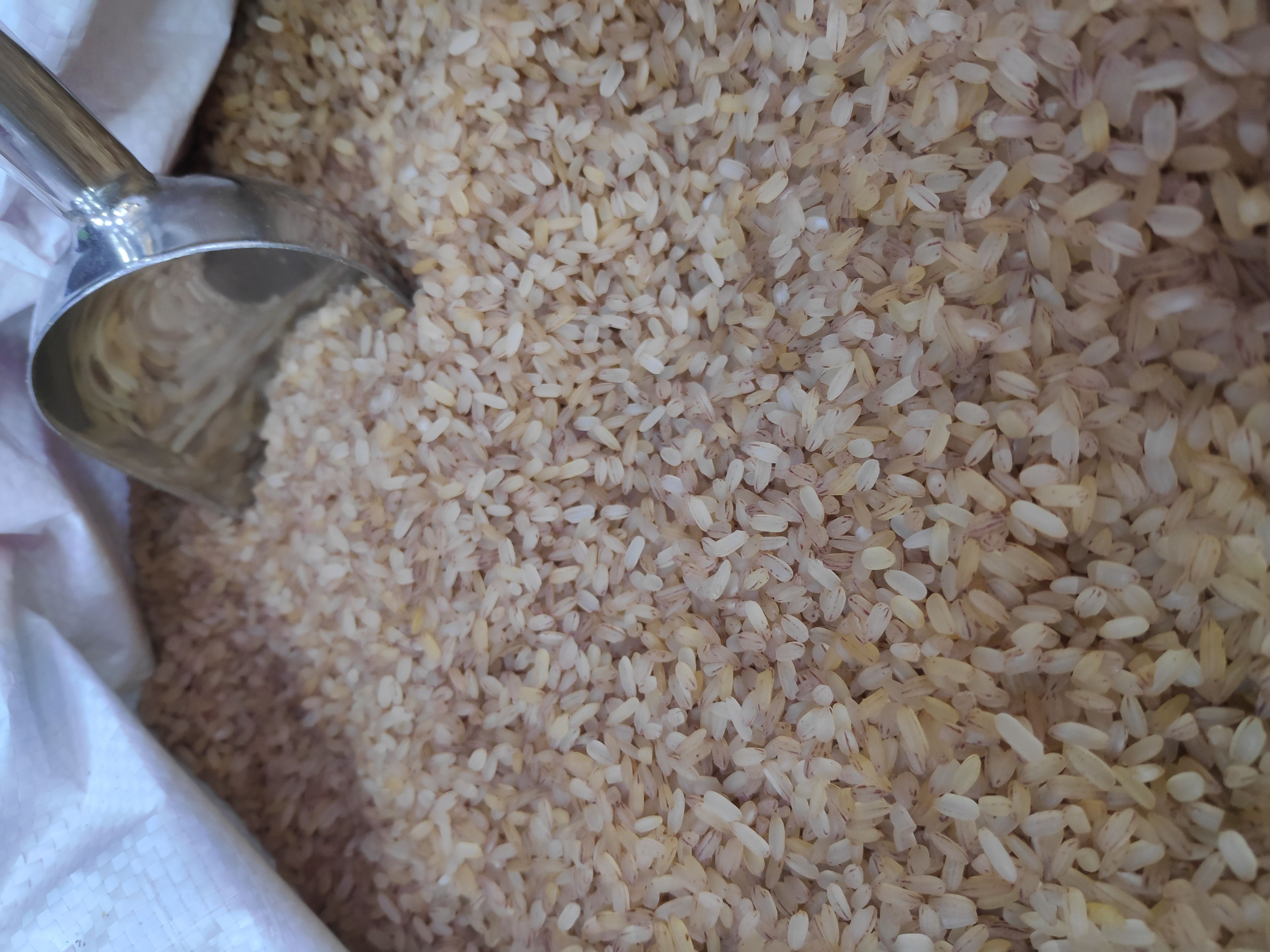 Opt for Whole Grains Instead of Refined Grains (image credits: wikimedia)
