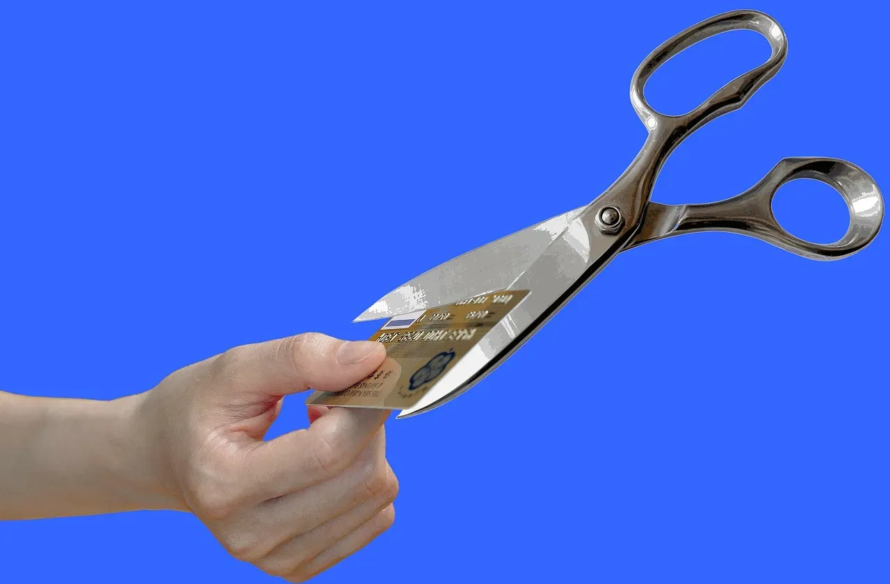 7. Letting Credit Card Interest Erase Your Savings (Image Credits: Pixabay)