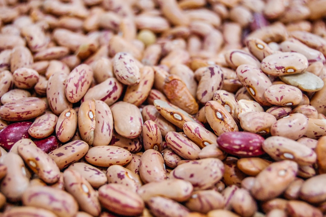 Kidney Beans (image credits: unsplash)