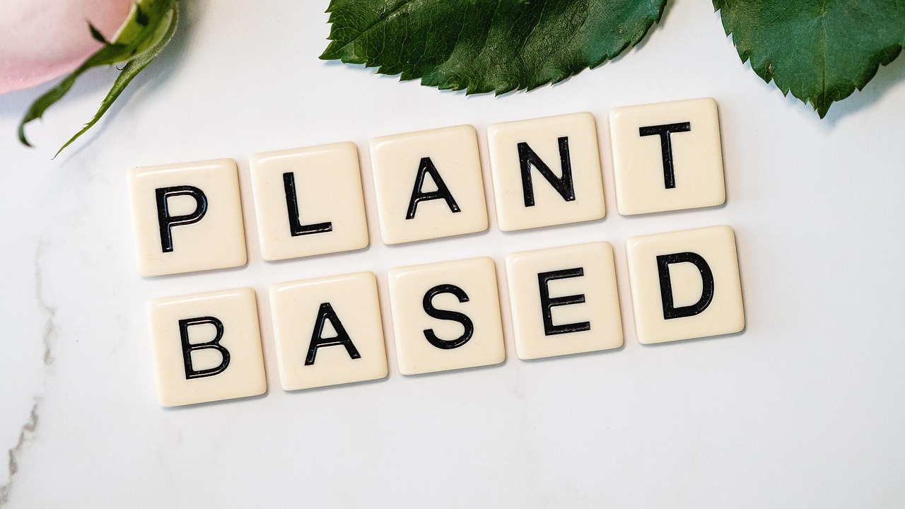 Plant-Based Meat Alternatives: The Processed Trap (image credits: pixabay)