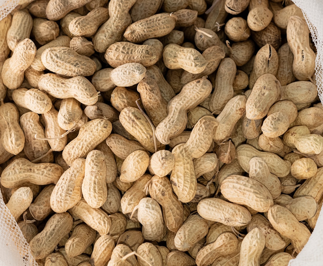 Peanuts: The Protein-Packed Legume (image credits: unsplash)