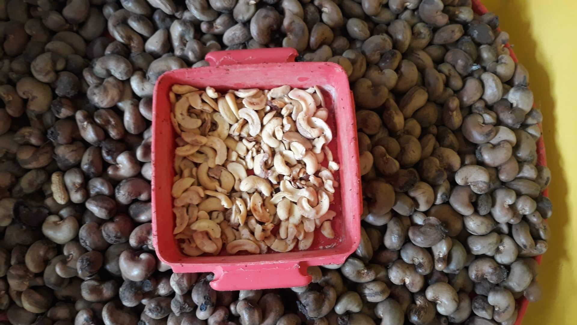 Cashews: Creamy and Protein-Rich (image credits: wikimedia)