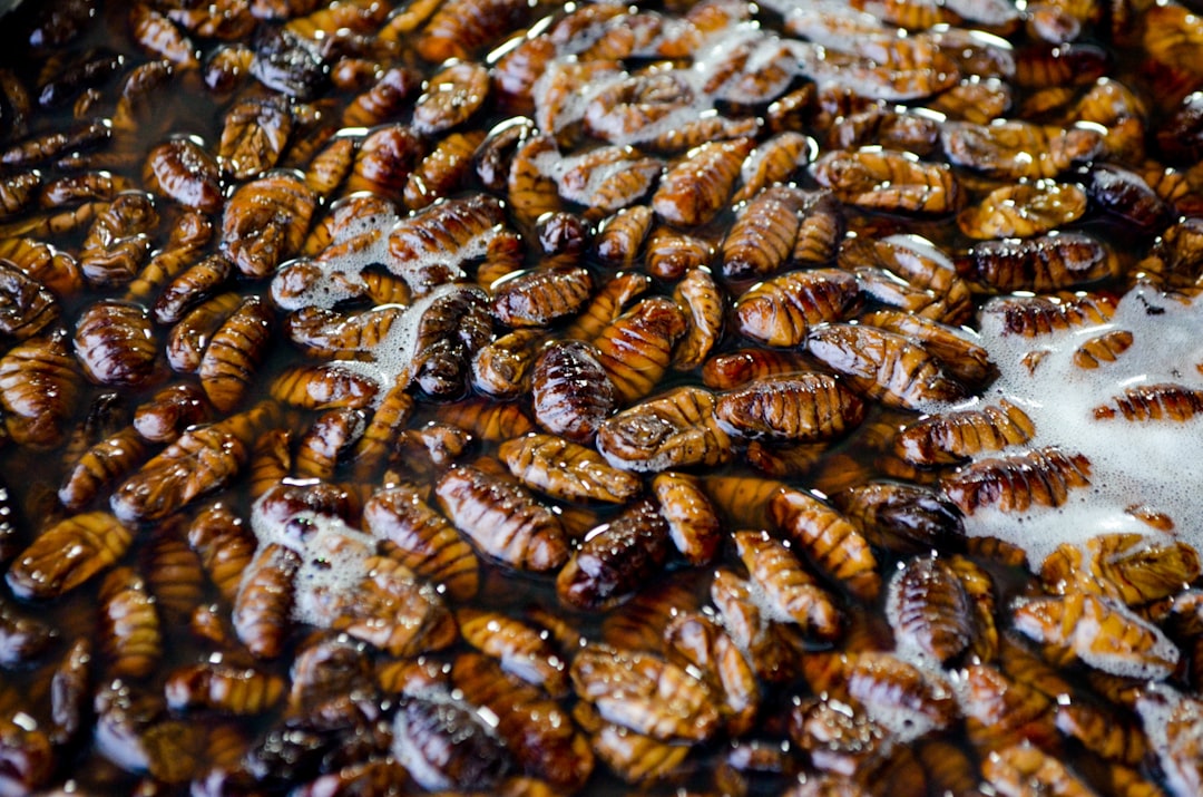 The Surprising Protein Power of Insects (image credits: unsplash)