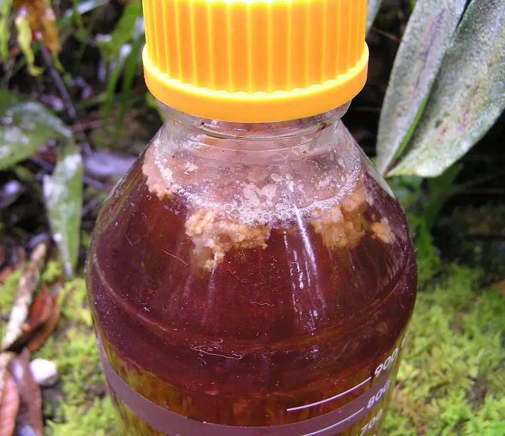 7. Contaminated Fresh Juices and Cut Fruit (Image Credits: Flickr)