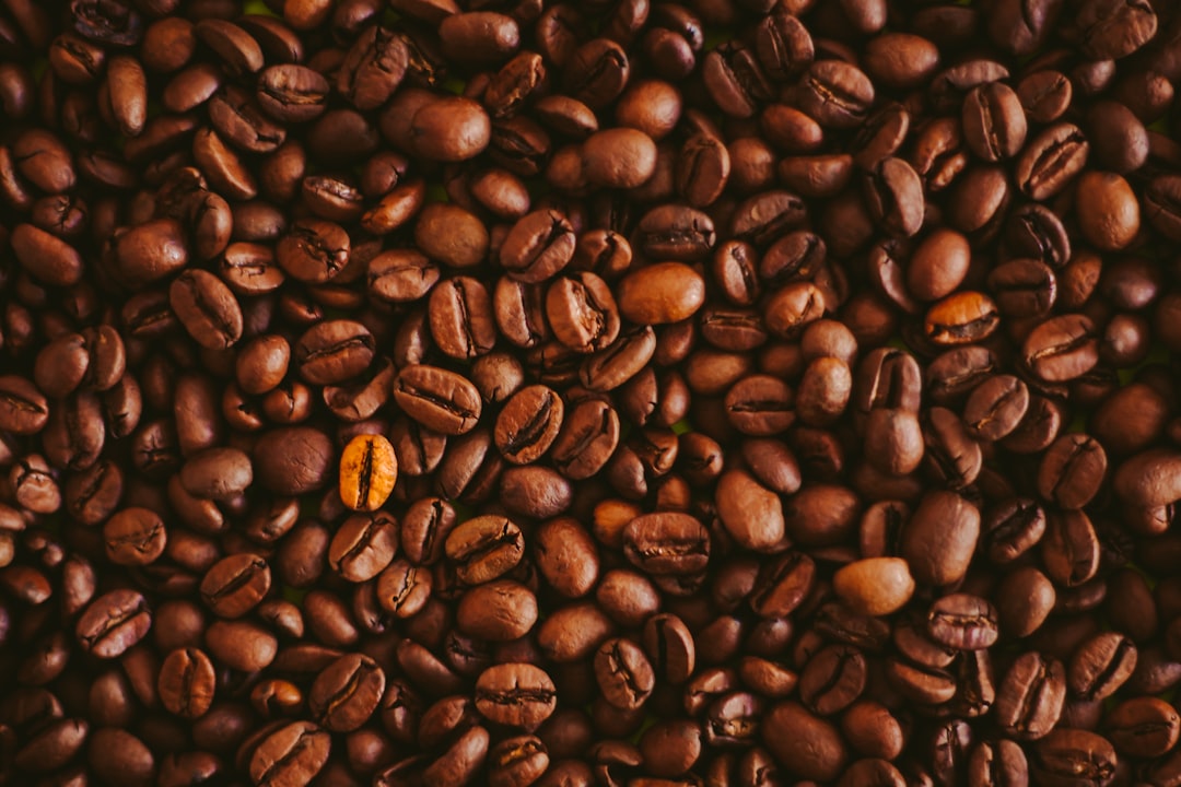 Coffee Grounds: The Antioxidant Powerhouse You're Dumping Daily (image credits: unsplash)