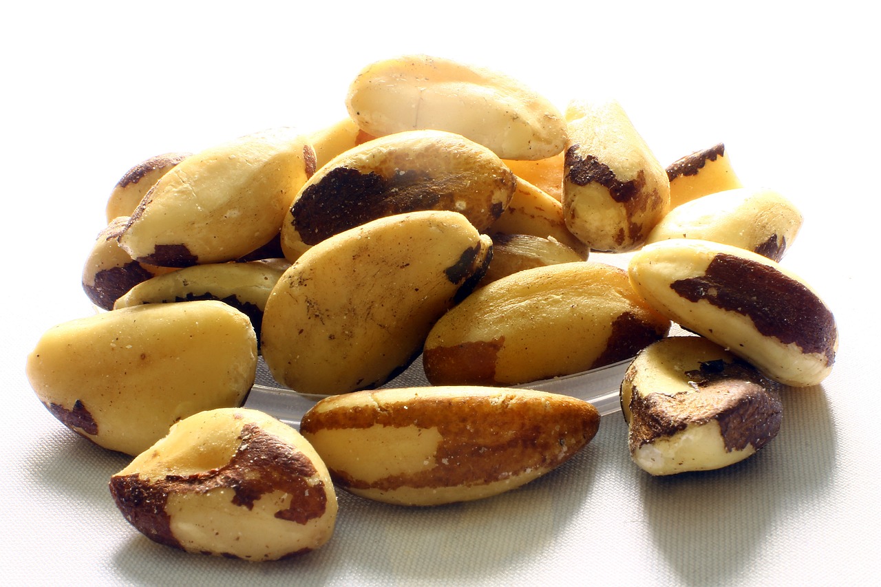 8. Brazil Nuts (image credits: pixabay)