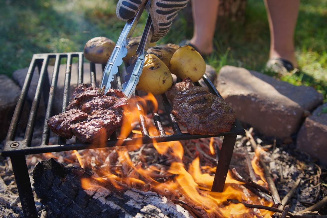Fire Pit Roasting: The Original BBQ Revolution (image credits: unsplash)
