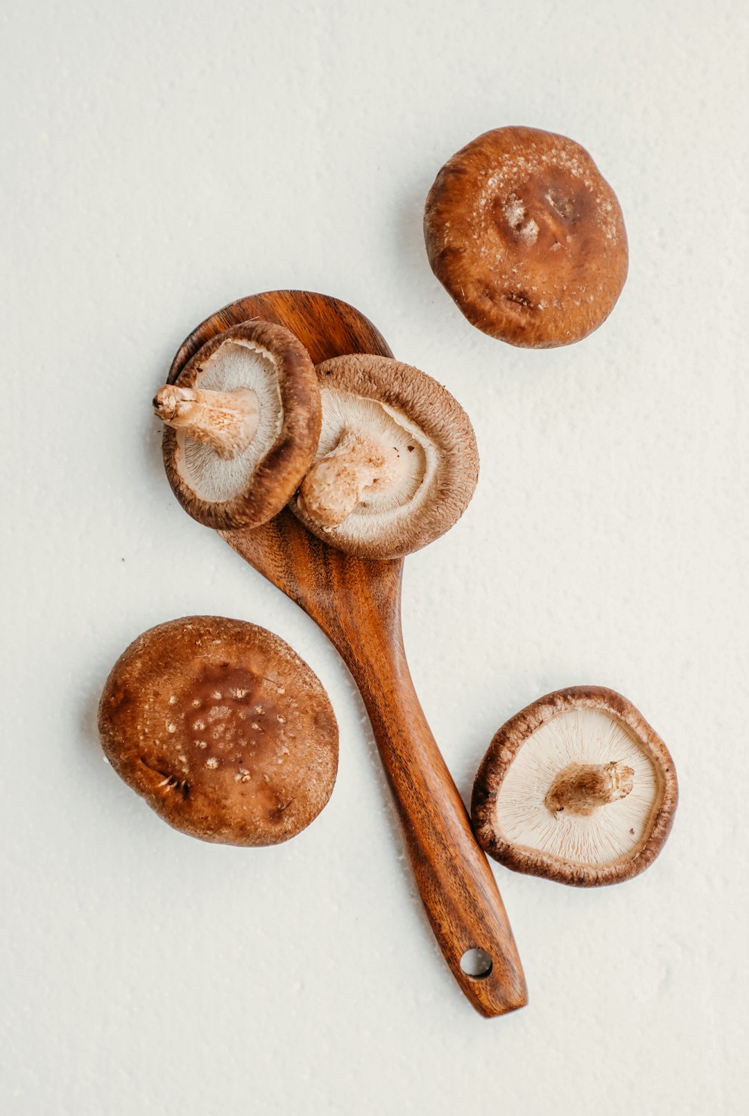 Mushroom Stroganoff That'll Make You Forget About Beef (image credits: unsplash)