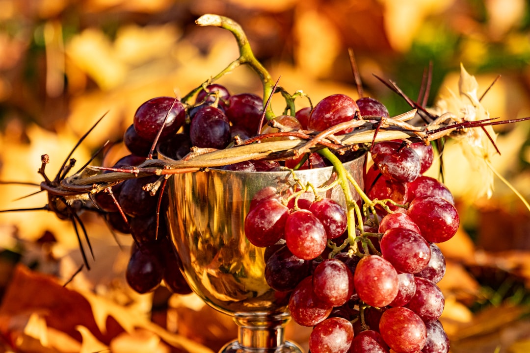 Grapes (image credits: unsplash)