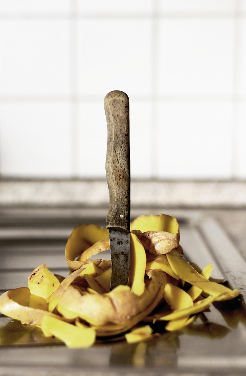 The Shocking Reality of Kitchen Waste (image credits: pixabay)