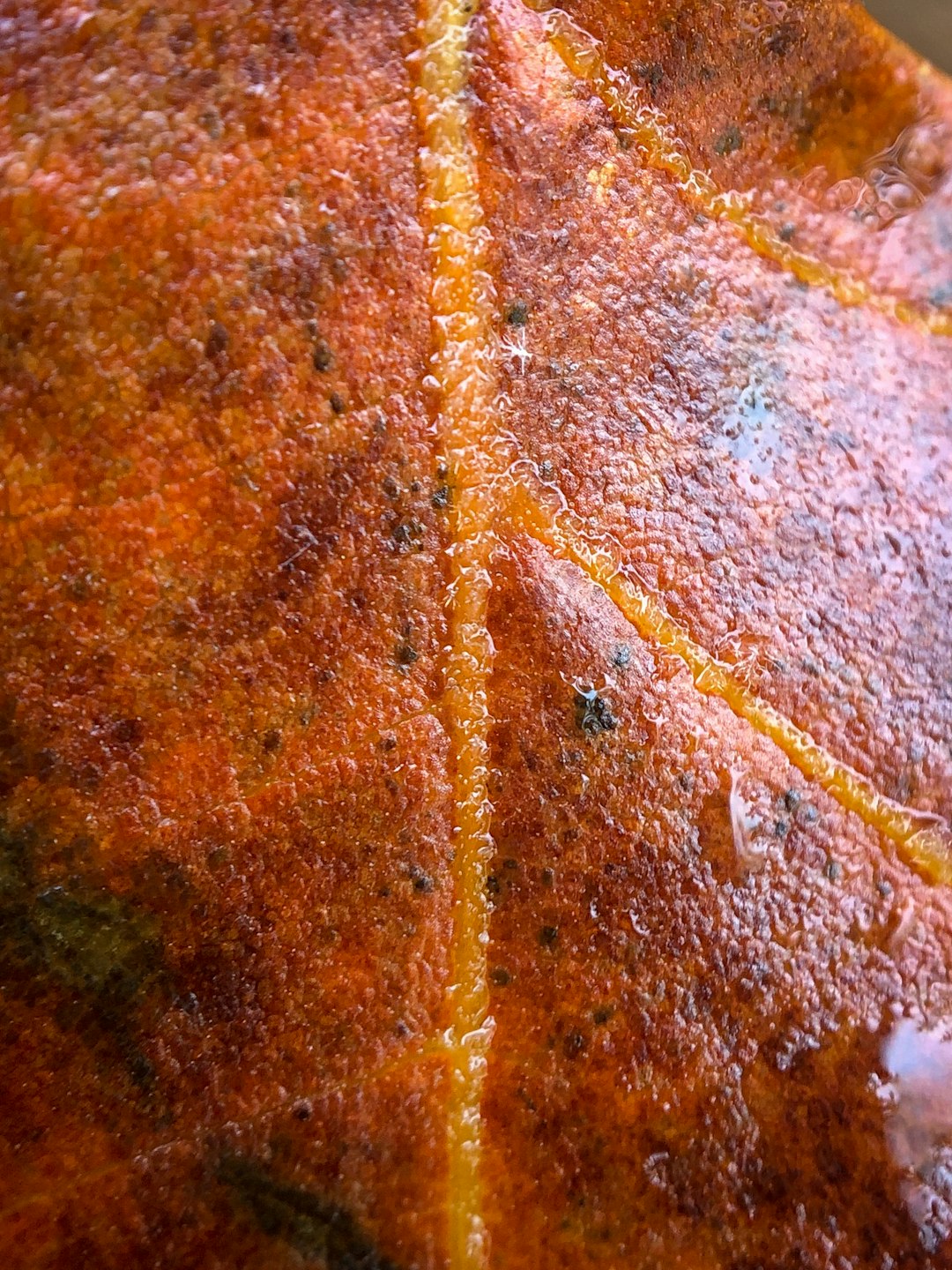 Chicken Skin: The Crispy Golden Layer (image credits: unsplash)