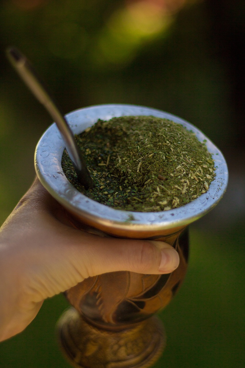 Yerba Mate: South America’s Secret Weapon (image credits: pixabay)
