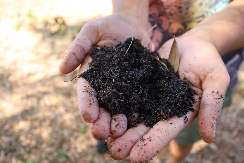 The Importance of Soil Health (image credits: rawpixel)