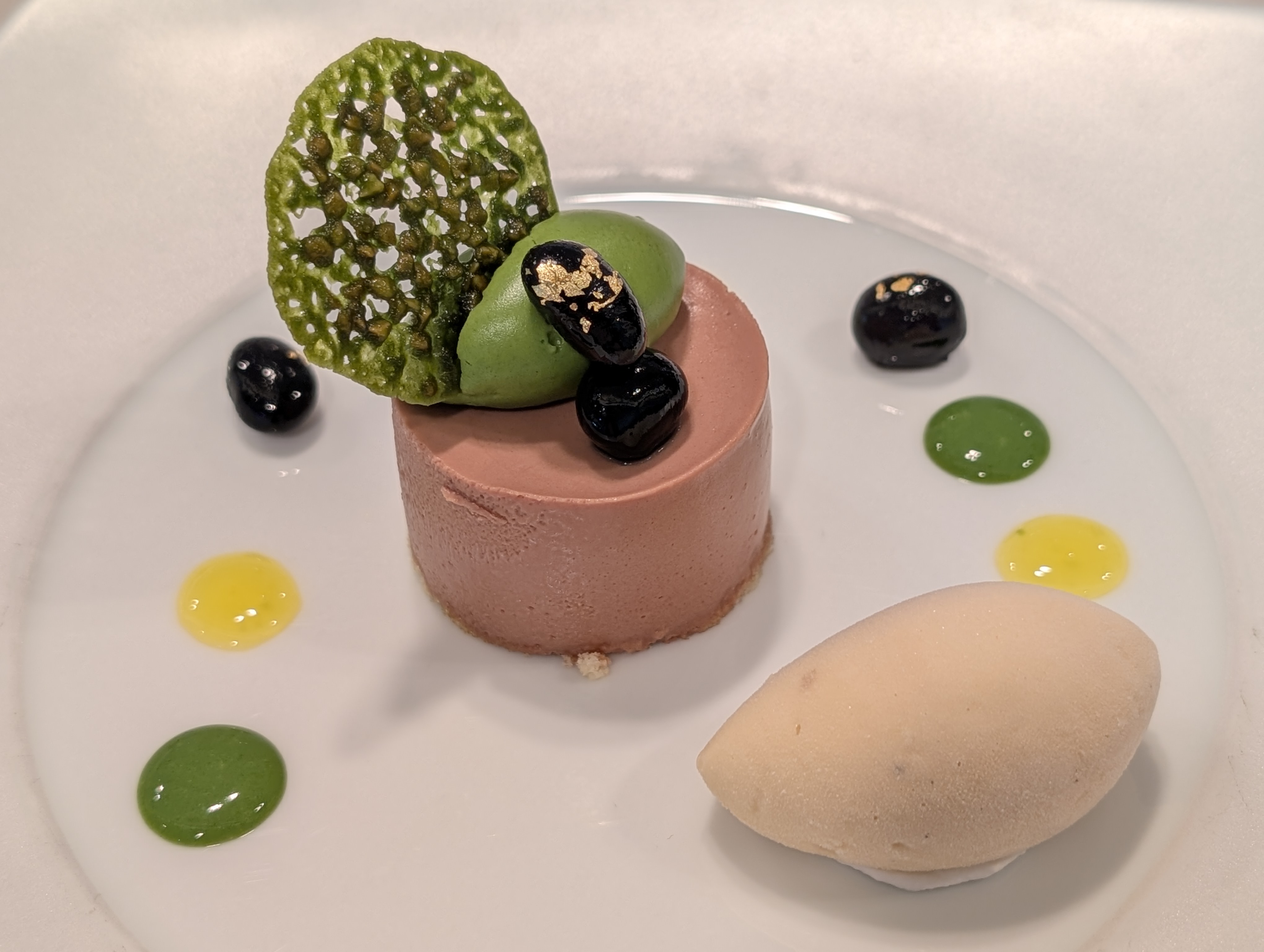 Future Prospects and Innovations (image credits: wikimedia)