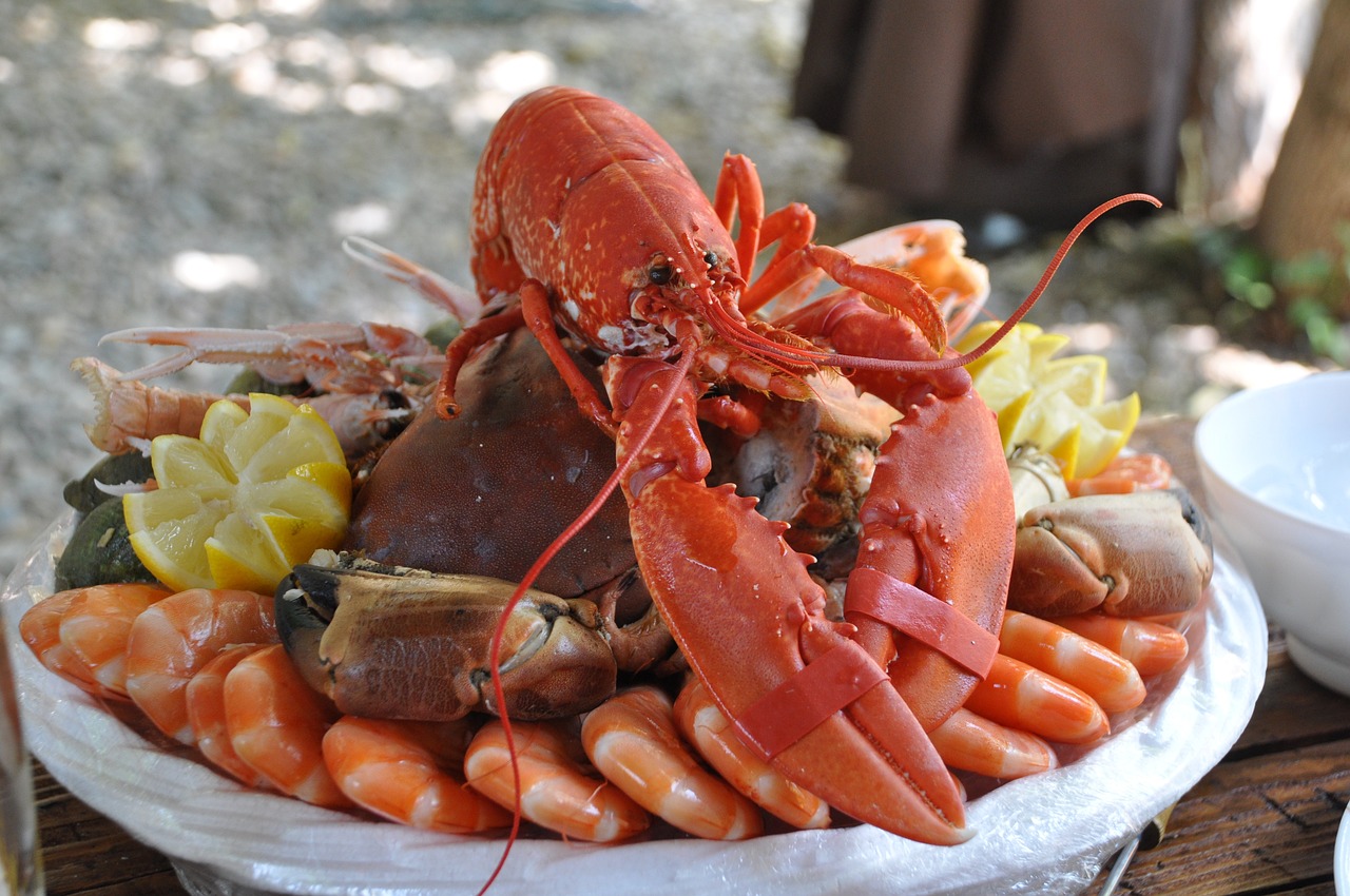 Shellfish: A Diverse Group (image credits: pixabay)