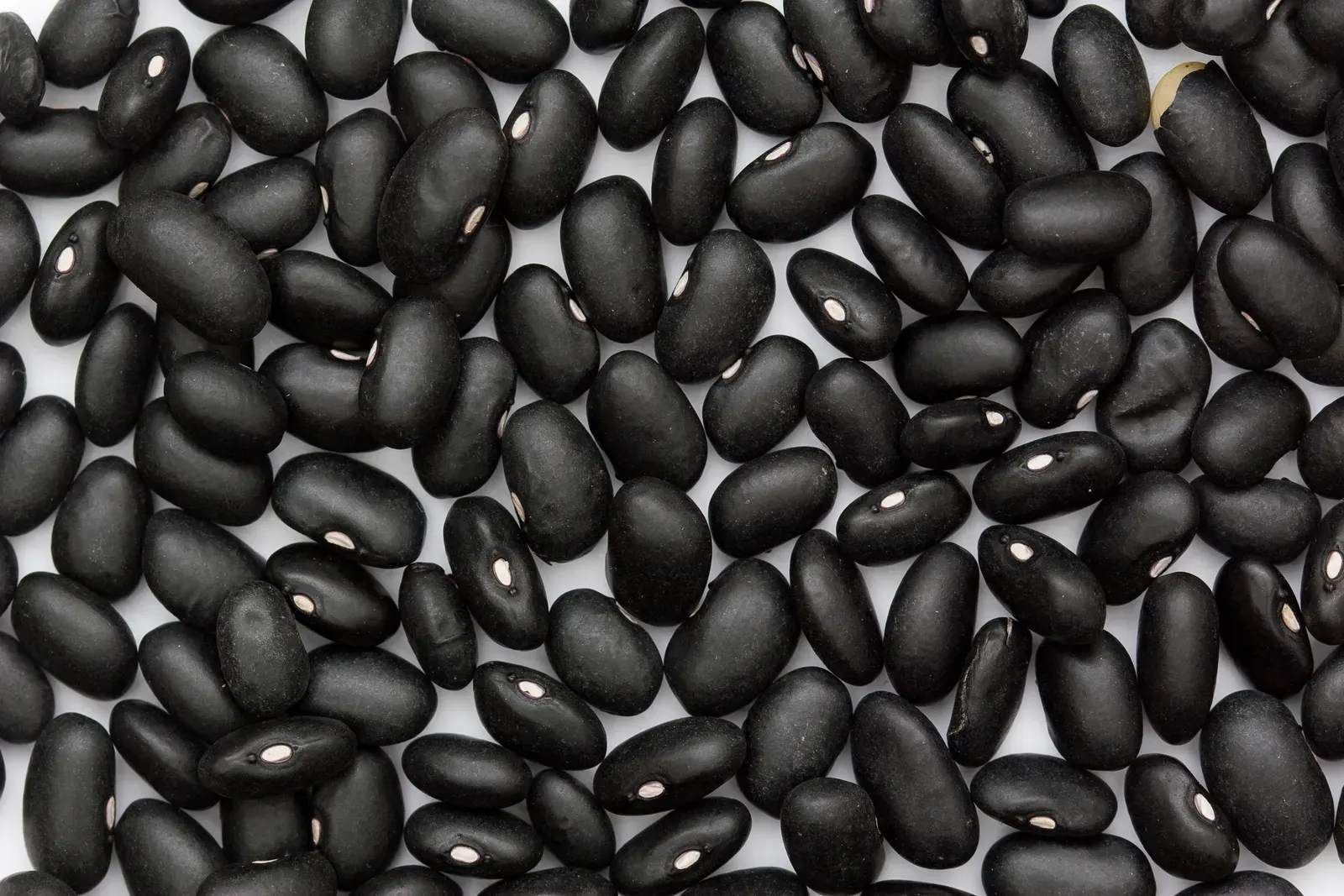 Black Beans: The Underestimated Energy Staple (Image Credits: Wikimedia)