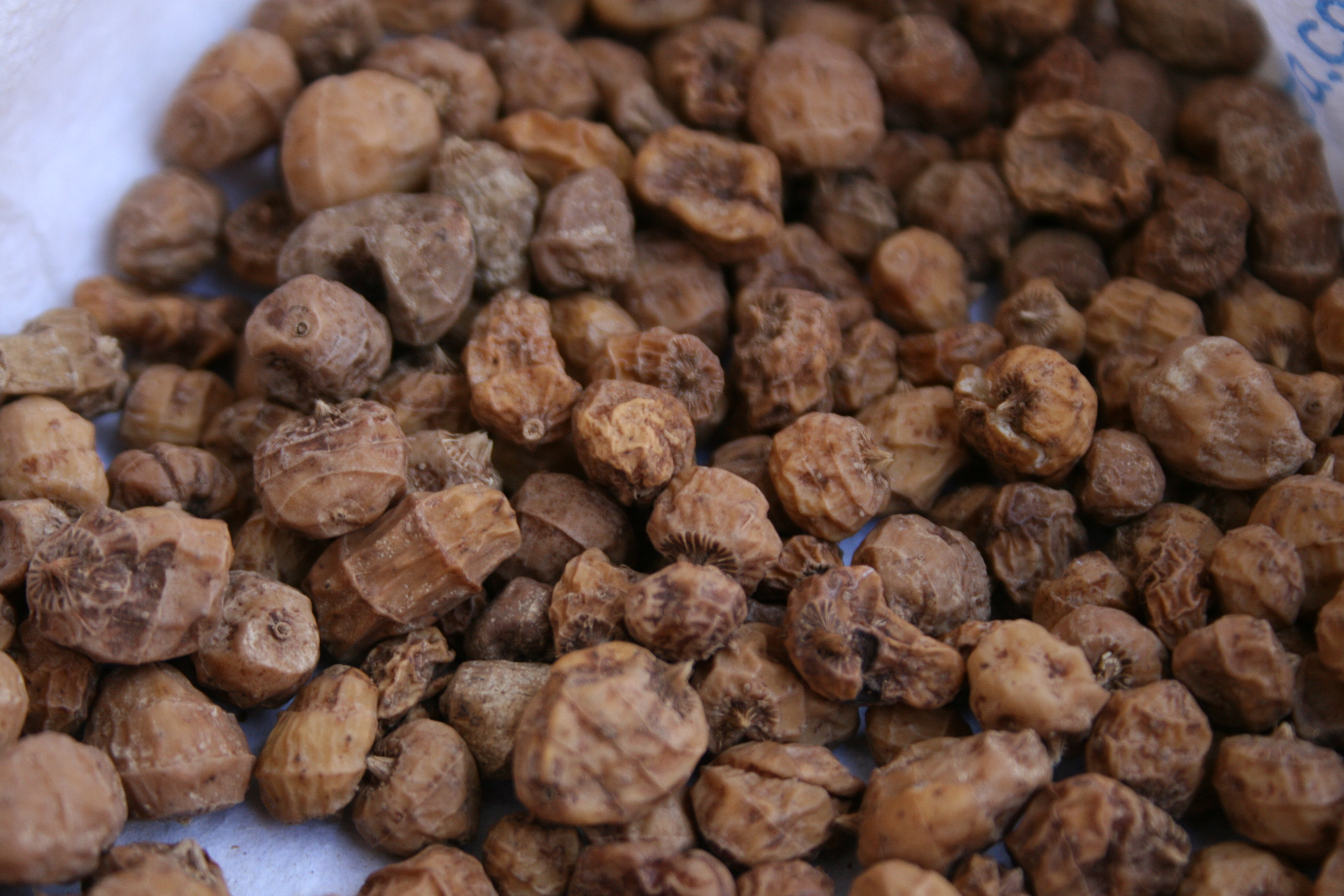Tiger Nuts - The Misnamed Tuber (image credits: wikimedia)