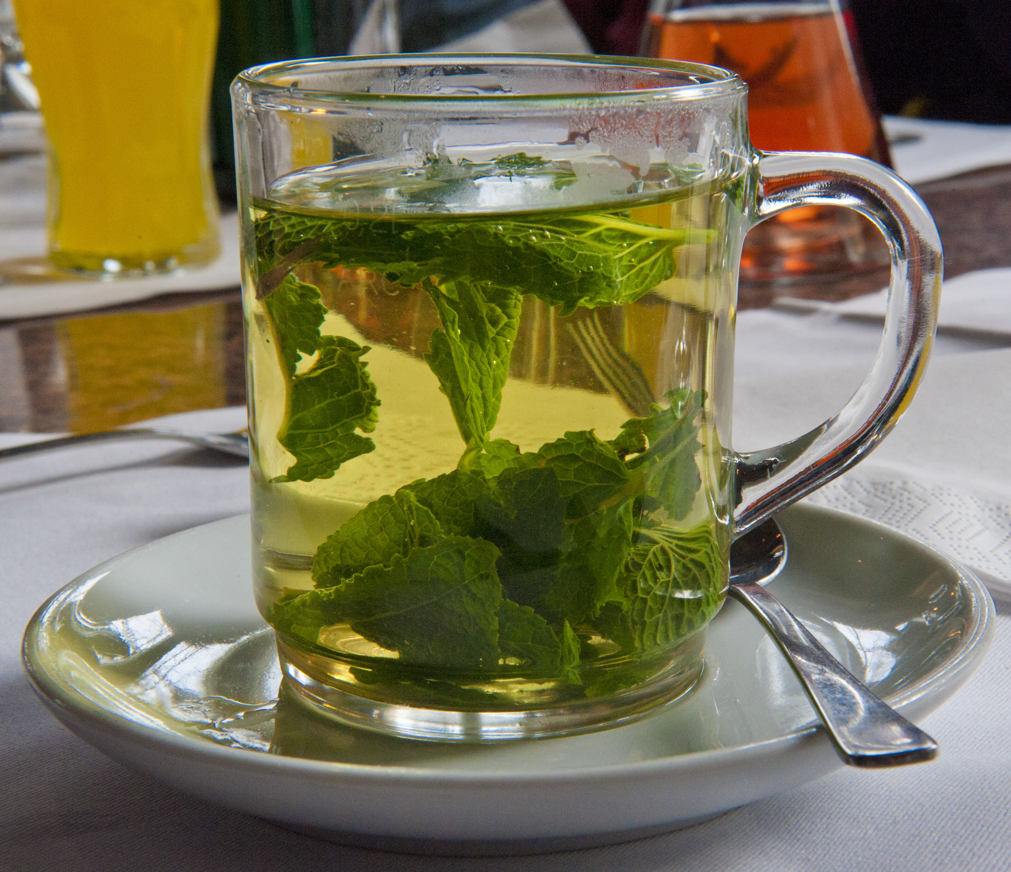 Peppermint: Cooling Comfort (image credits: wikimedia)