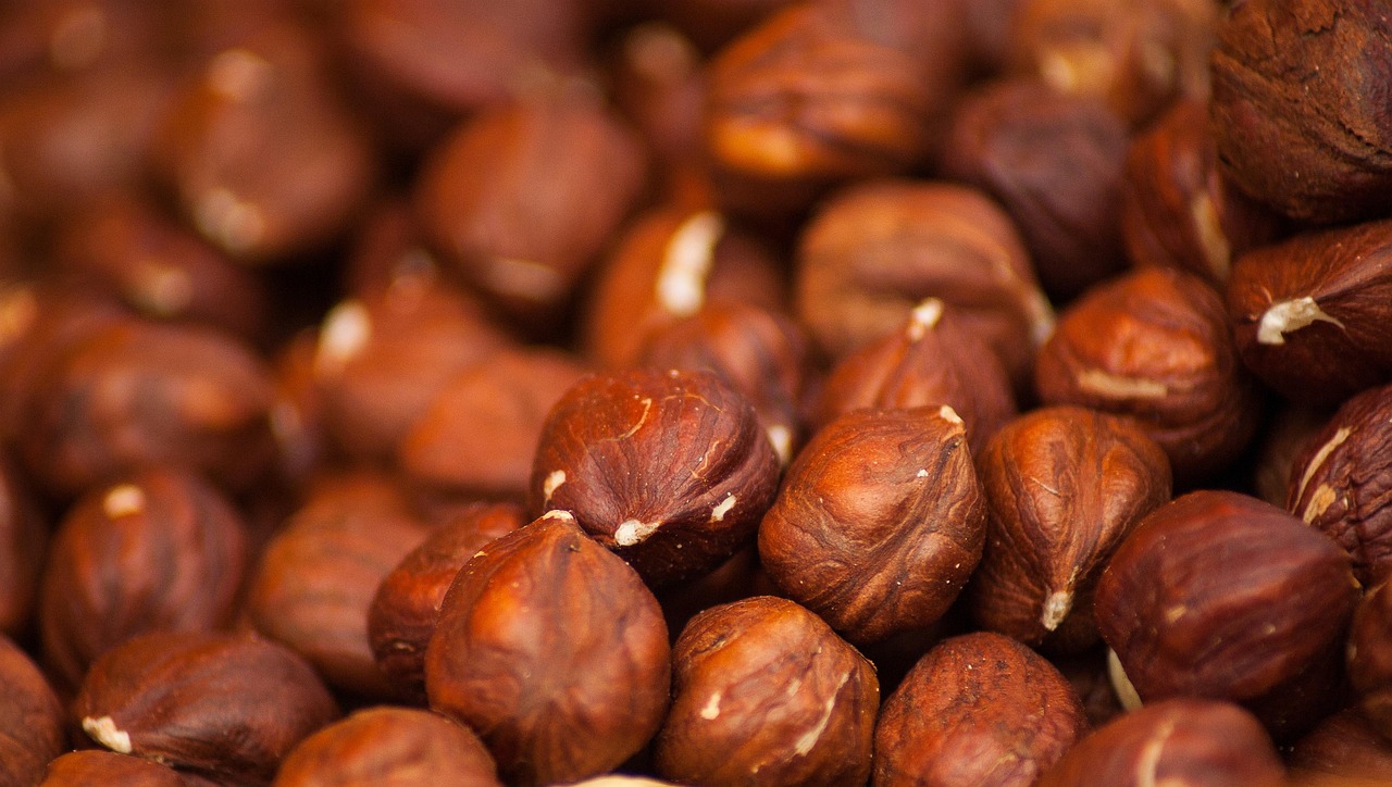 Hazelnuts (image credits: pixabay)