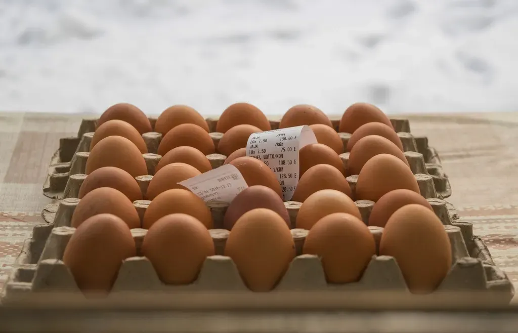 Most People Are Already Eating More Than Enough (Image Credits: Rawpixel)