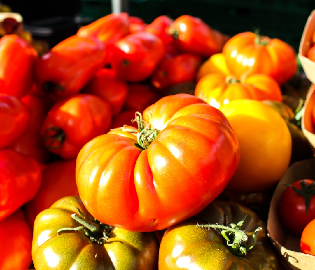 Mortgage Lifter Tomatoes: Depression-Era Giants (Image Credits: Unsplash)